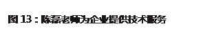 文本框: 图13：陈磊老师为企业提供技术服务
